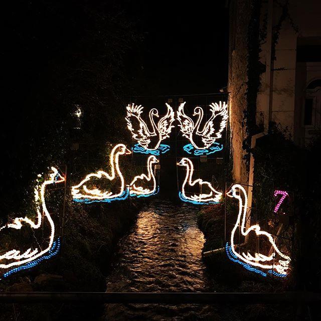The annual stroll around Angarrack #angarrack #christmas #7swansaswimming #river #christmaslights #cornwall The annual stroll around Angarrack #angarrack #christmas #7swansaswimming #river #christmaslights #cornwall
